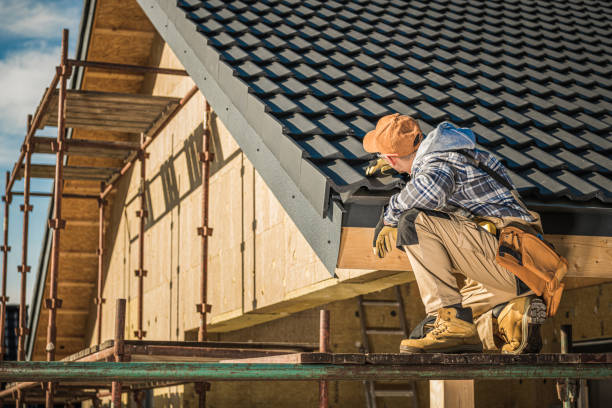 Best Roof Insulation Installation  in , AK
