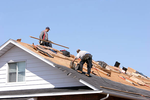 Best Gutter Installation and Repair  in , AK